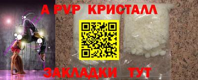 шишки Гатчина